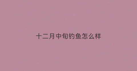 十二月中旬钓鱼怎么样(十二月份钓鱼)