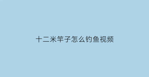 十二米竿子怎么钓鱼视频(十二米鱼竿线组怎么搭配)