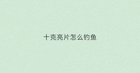 十克亮片怎么钓鱼(10克亮片钓什么鱼效果好)