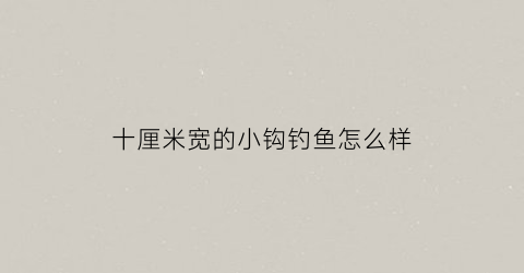 十厘米宽的小钩钓鱼怎么样(钩鱼杆10米长的多少钱)