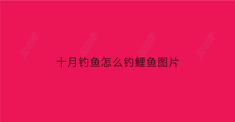 “十月钓鱼怎么钓鲤鱼图片(10月野钓鲤鱼技巧)