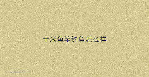 十米鱼竿钓鱼怎么样(十米鱼竿钓鱼怎么样好钓吗)