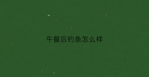 午餐后钓鱼怎么样(午餐后钓鱼怎么样最好)