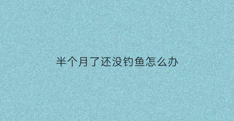 半个月了还没钓鱼怎么办(钓鱼半个小时没动静)