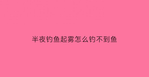 半夜钓鱼起雾怎么钓不到鱼(半夜钓鱼钓深还是浅)