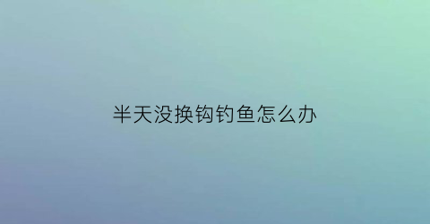 半天没换钩钓鱼怎么办