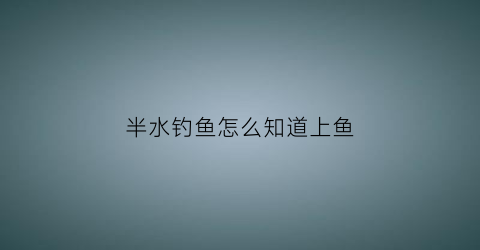 半水钓鱼怎么知道上鱼(钓鱼中半水什么意思)