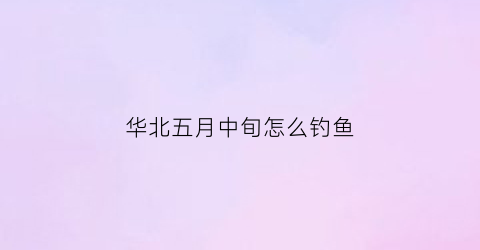 华北五月中旬怎么钓鱼