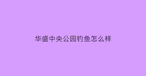 华盛中央公园钓鱼怎么样(华盛中央公园一期48平方复式)