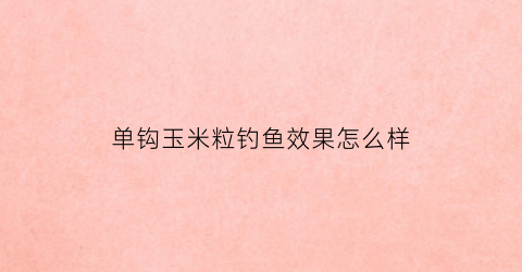 “单钩玉米粒钓鱼效果怎么样(一钩玉米一钩饵料怎么调漂)