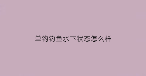 单钩钓鱼水下状态怎么样(单钩垂钓怎么调漂)