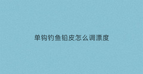 “单钩钓鱼铅皮怎么调漂度(单钩钓鱼铅皮怎么调漂度最好)