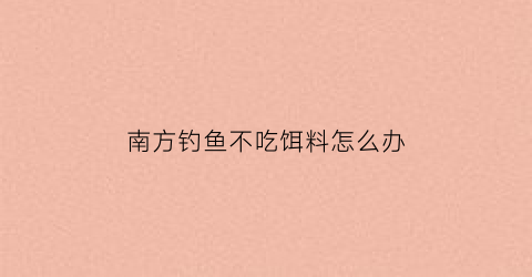 南方钓鱼不吃饵料怎么办