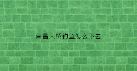 “南昌大桥钓鱼怎么下去(南昌大桥在什么江上)