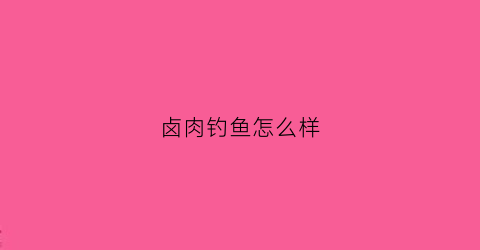 卤肉钓鱼怎么样(卤肉料可以炖鱼吗)