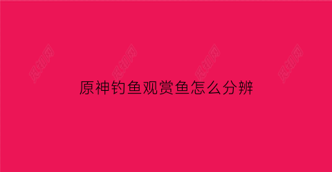 原神钓鱼观赏鱼怎么分辨(原神钓的鱼在哪里查看)