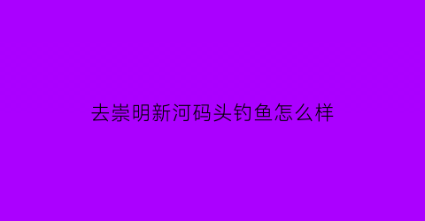 去崇明新河码头钓鱼怎么样(去崇明新河码头钓鱼怎么样好钓吗)