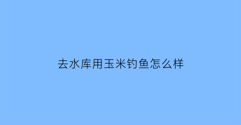 去水库用玉米钓鱼怎么样(水库用玉米能钓到什么鱼)