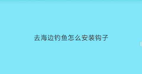 去海边钓鱼怎么安装钩子(海边钩鱼教程视频)