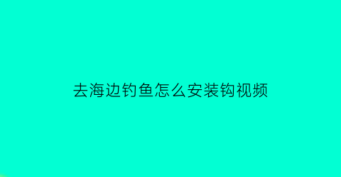 去海边钓鱼怎么安装钩视频(海边钓鱼鱼钩选择)