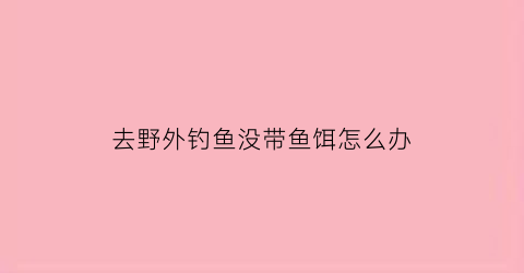 “去野外钓鱼没带鱼饵怎么办(去野外钓鱼没带鱼饵怎么办呀)