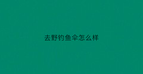 “去野钓鱼伞怎么样(野钓钓伞有必要吗)