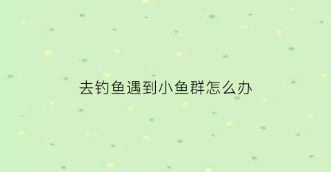 去钓鱼遇到小鱼群怎么办(野钓遇到小鱼闹窝怎么办)