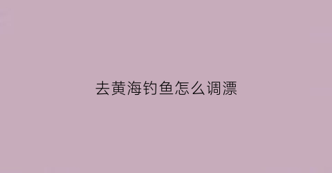 去黄海钓鱼怎么调漂(怎么去黄海海边)