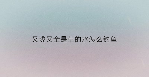 又浅又全是草的水怎么钓鱼(又浅又全是草的水怎么钓鱼视频)