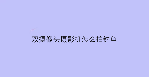 “双摄像头摄影机怎么拍钓鱼(双摄像头怎么作弊)