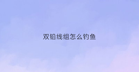 “双铅线组怎么钓鱼(双铅钓组怎么调漂)