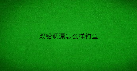 “双铅调漂怎么样钓鱼(双铅怎么调漂调几目钓几)