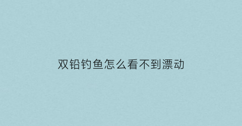 双铅钓鱼怎么看不到漂动(双铅钓鱼怎么看不到漂动状态)