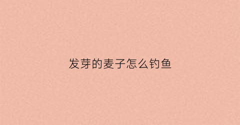 发芽的麦子怎么钓鱼