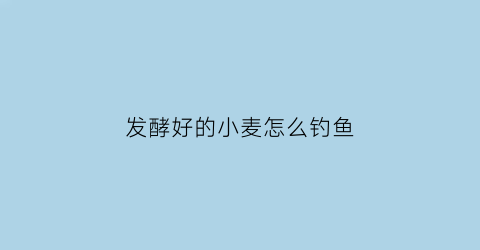 “发酵好的小麦怎么钓鱼(自制发酵小麦钓鱼窝料)