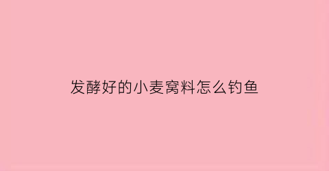 发酵好的小麦窝料怎么钓鱼(发酵好的小麦窝料怎么钓鱼用)