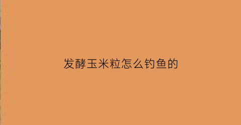 发酵玉米粒怎么钓鱼的(发酵玉米粒钓鱼秘方)