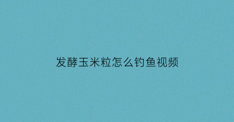 “发酵玉米粒怎么钓鱼视频(发酵玉米粒怎么钓鱼视频教学)