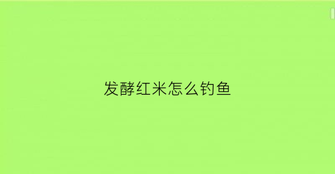 发酵红米怎么钓鱼(钓鱼的红米用什么泡的)