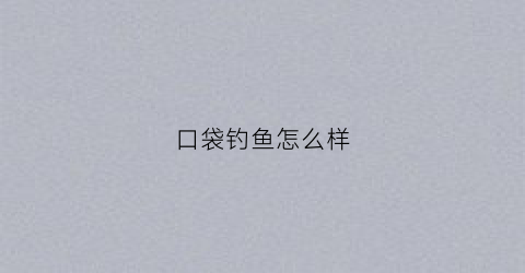 口袋钓鱼怎么样