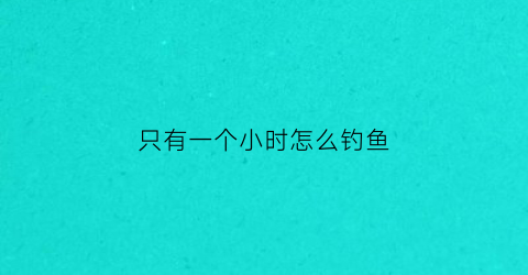 只有一个小时怎么钓鱼(野钓一个小时没口还用等吗)