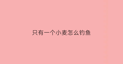 只有一个小麦怎么钓鱼(小麦子可以钓上来什么鱼)