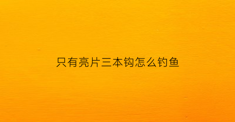 “只有亮片三本钩怎么钓鱼(亮片用三本钩好还是单钩好)