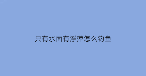 只有水面有浮萍怎么钓鱼(只有水面有浮萍怎么钓鱼呢)