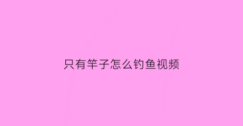 只有竿子怎么钓鱼视频