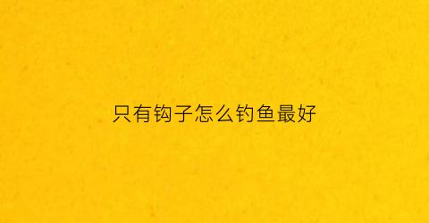 只有钩子怎么钓鱼最好