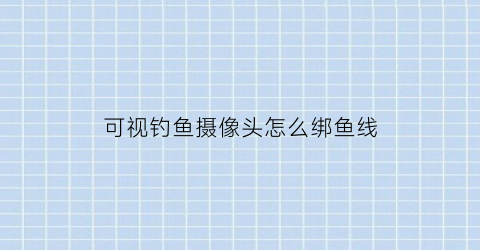 可视钓鱼摄像头怎么绑鱼线(可视鱼竿摄像头离钩多大距离)