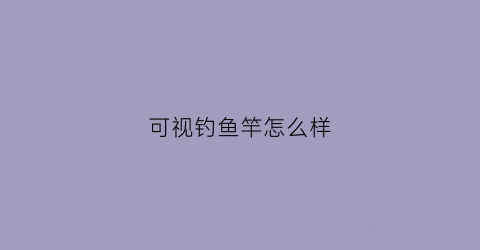 可视钓鱼竿怎么样