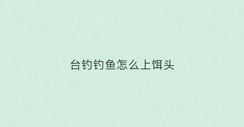 台钓钓鱼怎么上饵头(台钓钓鱼怎么上饵头好)