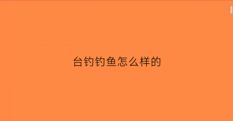 台钓钓鱼怎么样的(台钓选什么钩好)